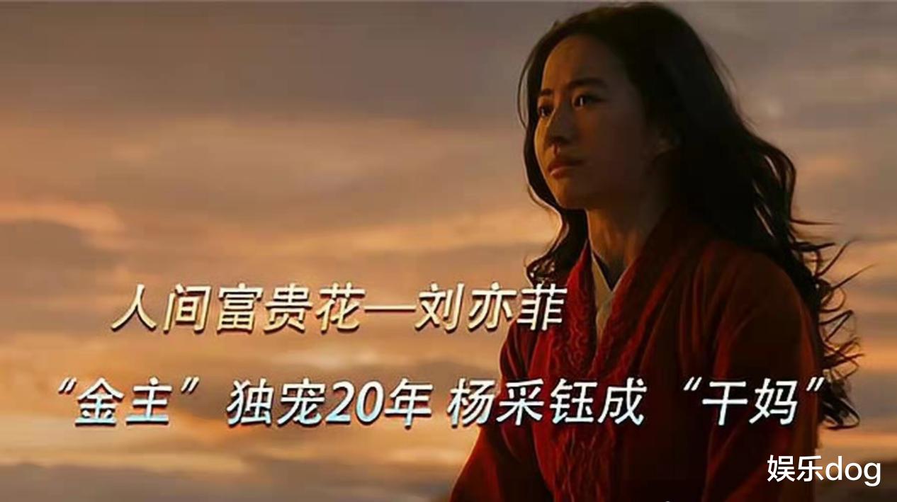 刘亦菲|刘亦菲:干爹不疼,路不好走啊!