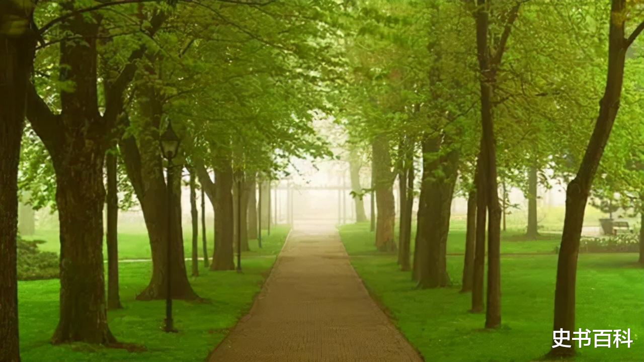 斛珠夫人|一代美神杨丽坤精神失常，28岁未婚，因药物关系一度胖到180斤