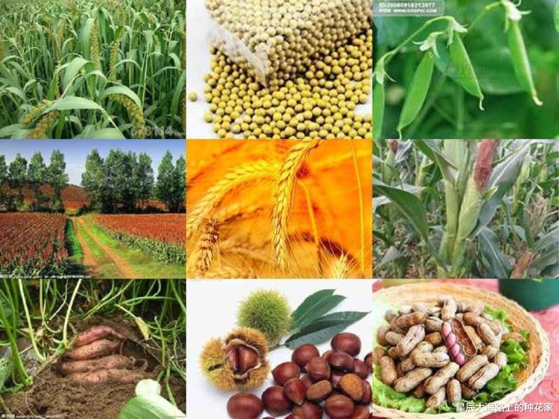 市值 太空辐射能让人基因突变甚至死亡，为什么还能让植物种子变高产？