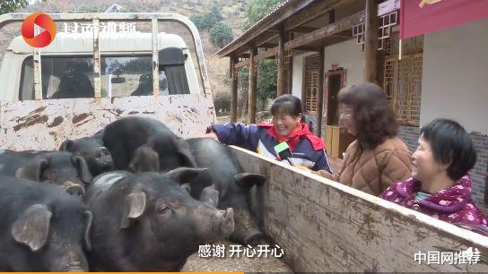 中国网推荐 酸了！山东一老板给40名员工每人奖一辆车，总价值1500万！还有一家…送了39辆宝马