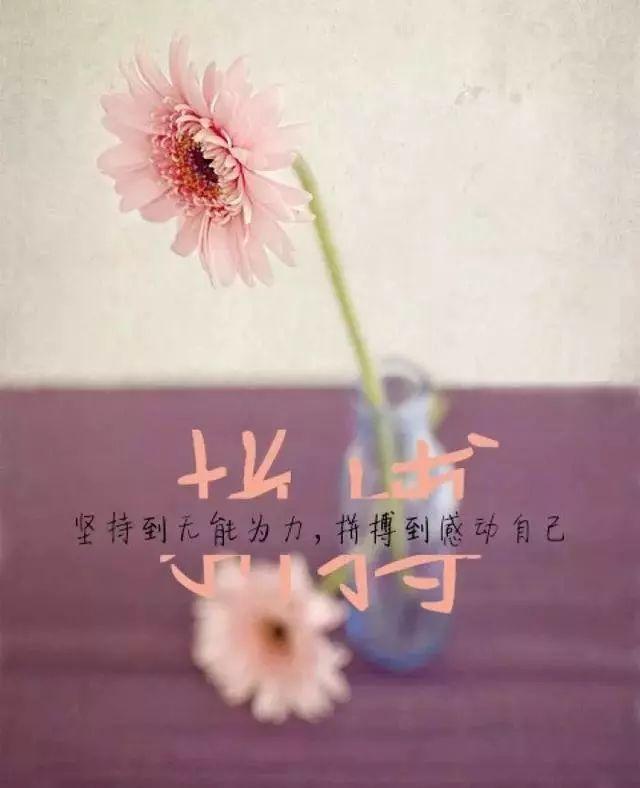 小飞侠熙熙 安静的坚强，逆境成长！