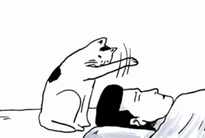 药海淘 中国程序员日|关注“头”等大事，从拒绝BUG开始！