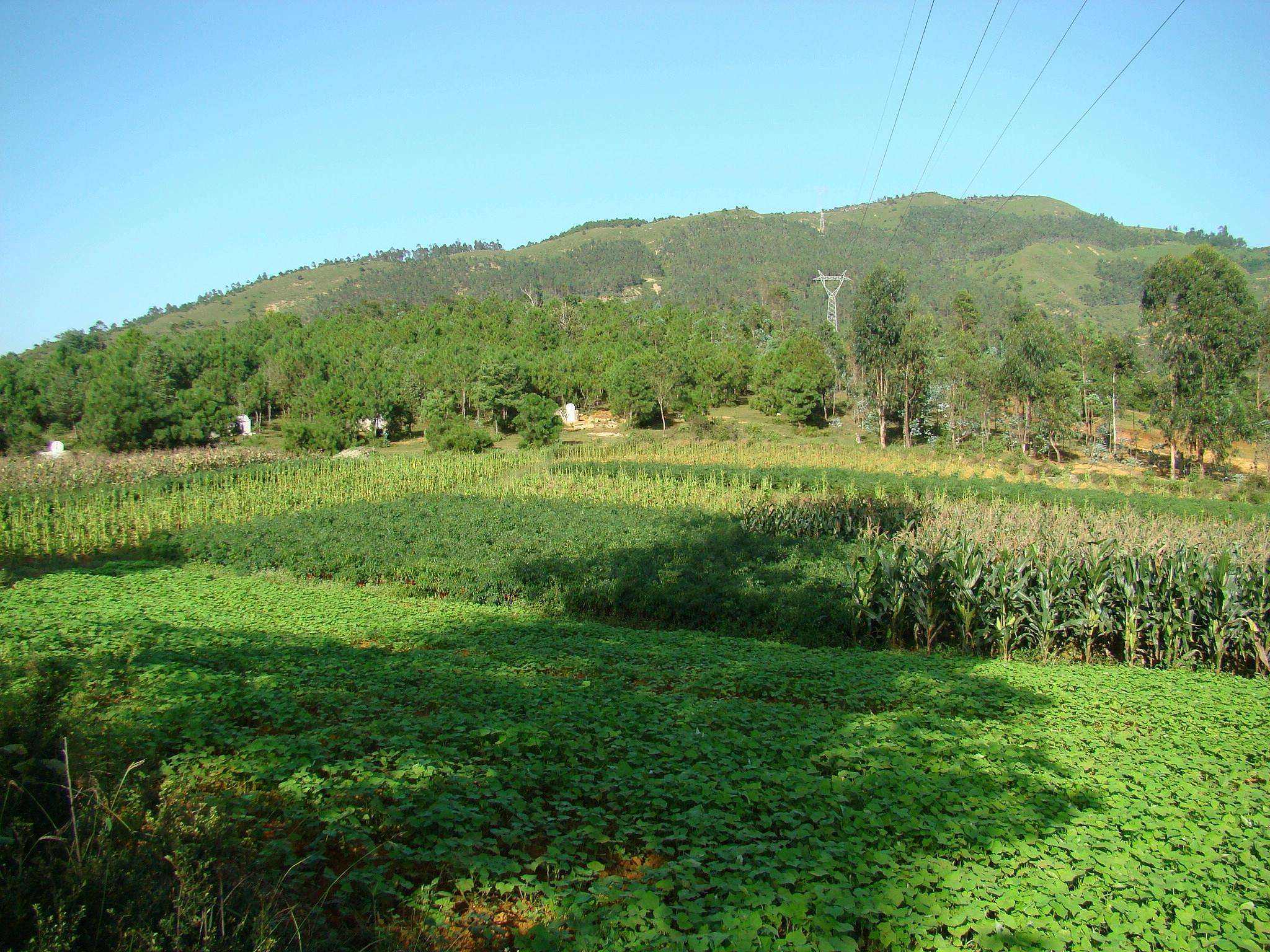 大话三农八卦 土地承包期限延长,新媳妇,新生儿将无耕地?国家是这样规定的