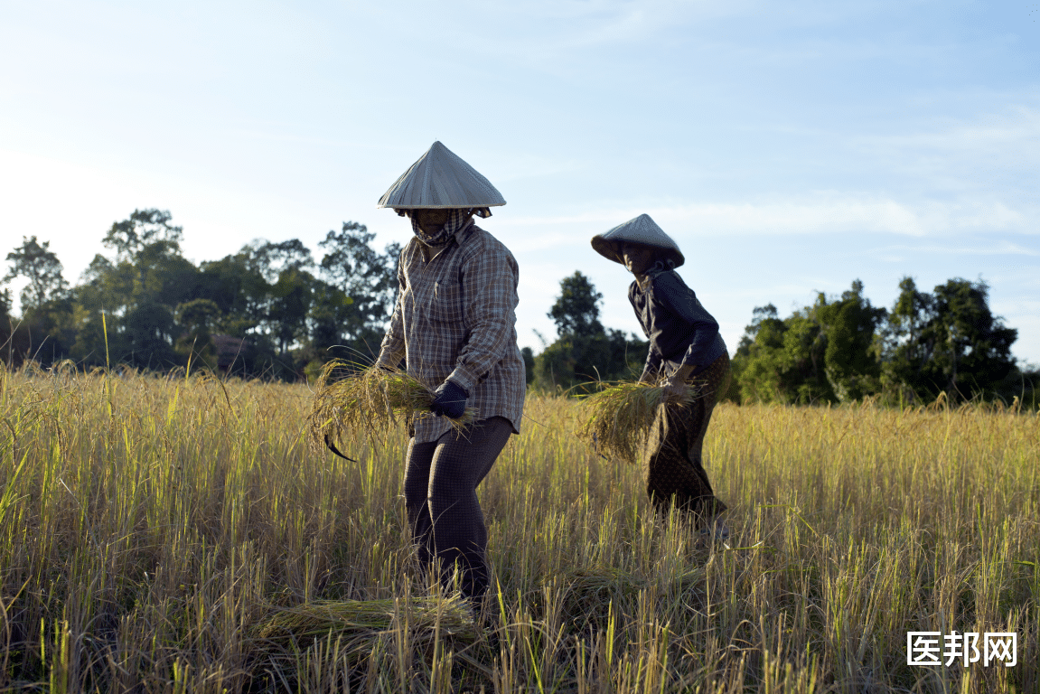 高血压|低压高和高压高，哪个更危险？在家测量血压，要特别注意这几点