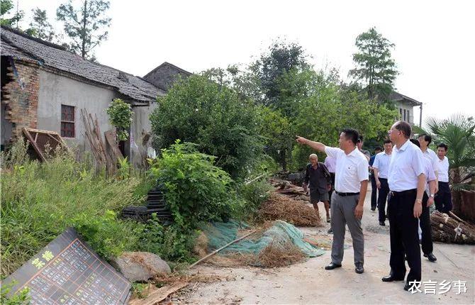 宅基地|2022年开始，农民家里又多一本证，有啥用处？看看就明白