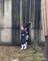 小叶娱记|神回复：“点餐的会是什么样的人？”网友：肯定是个热心人啊！