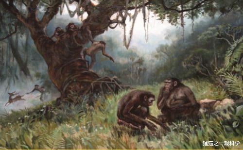 古人类 奥运健儿们为什么那么厉害？考古学家揭示人类进化为运动员的五个原因