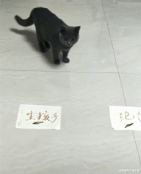 “女朋友设计出了结婚的婚房,看起来怎么样?”就差钱了