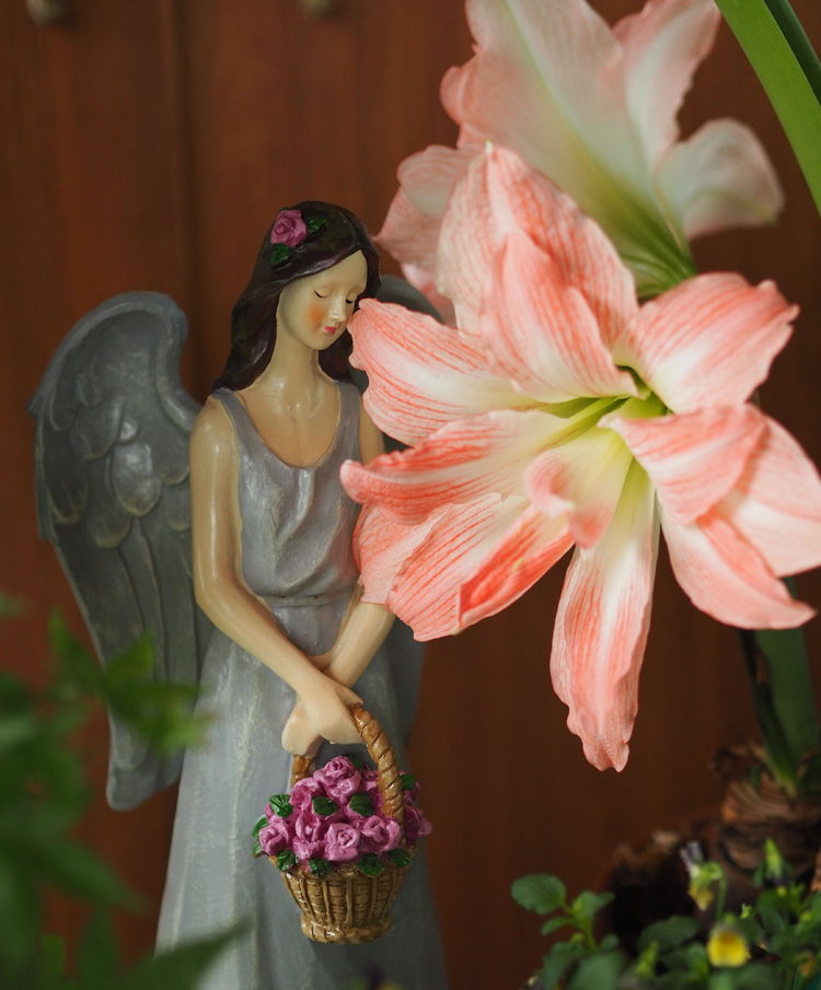 7㎡小阳台，改造成19楼的空中小花园，天天宅在家不想出门了