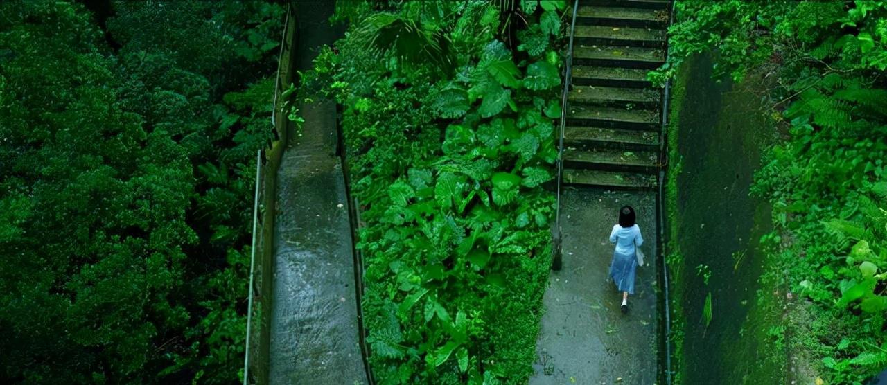 一只麦兜 编剧谈第一炉香选角标准太逗了，自己都说不清到底要不要尊重原著