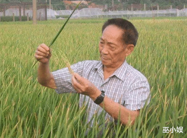 井柏然|袁隆平逝世！虞书欣井柏然迷惑发言惹争议，刘亦菲发广告却不悼念袁隆平？