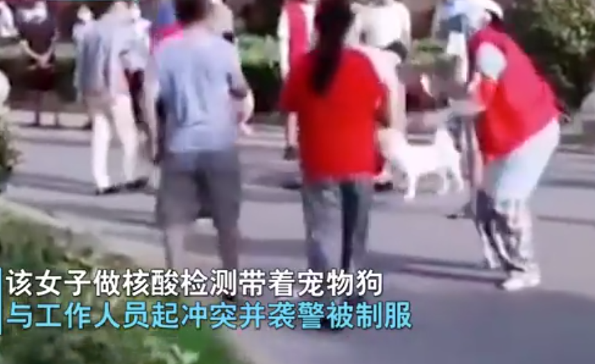 江苏省 江苏一女子带狗做核酸，拒不栓绳且袭警，嚣张放言：我的狗就没栓过绳！