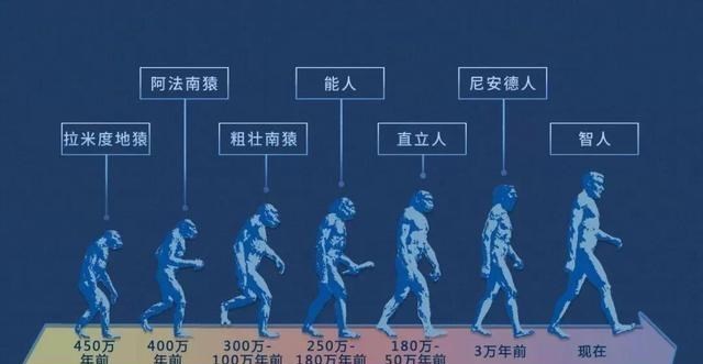 行星 为什么会说，这个世界似乎是被精心调校过的？