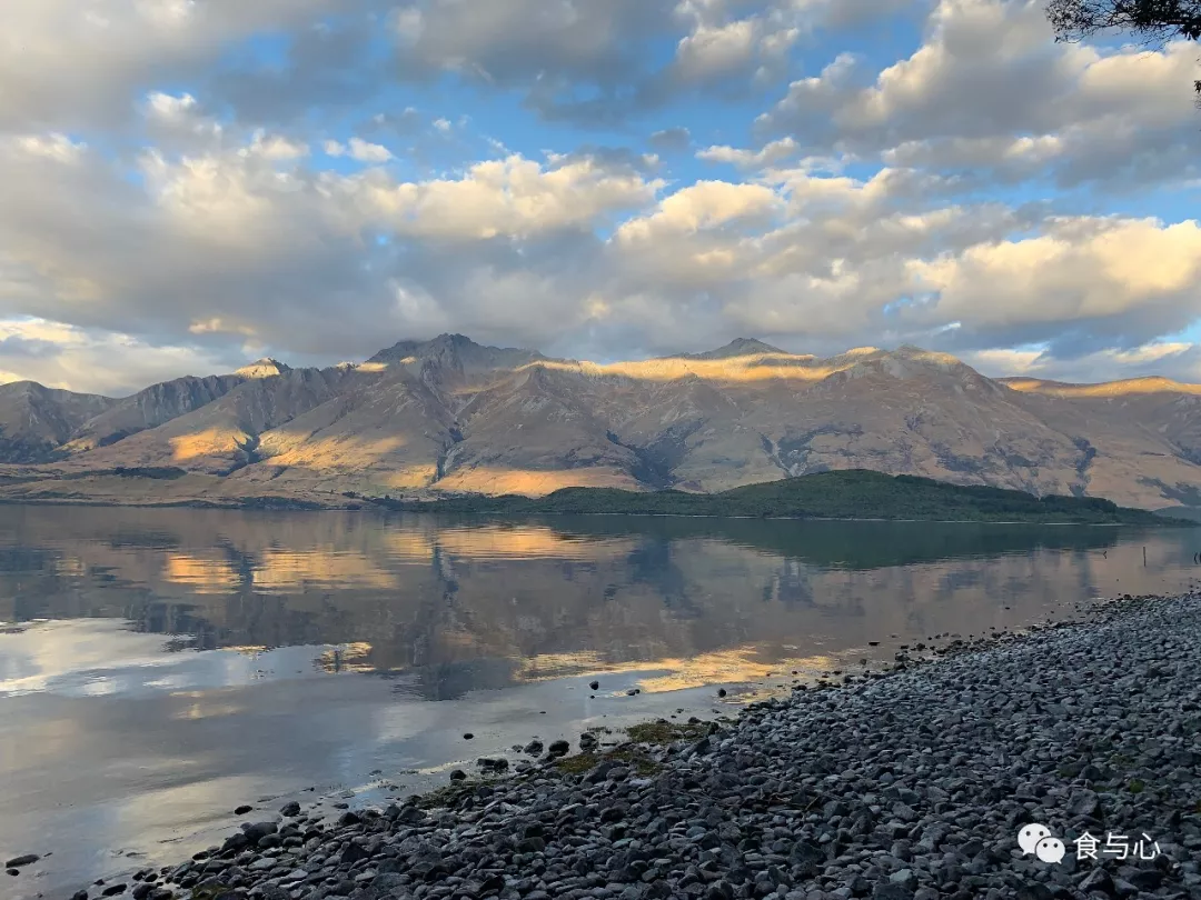 食与心|生活在童话般美丽的国度,新西兰人比中国人更健康吗?