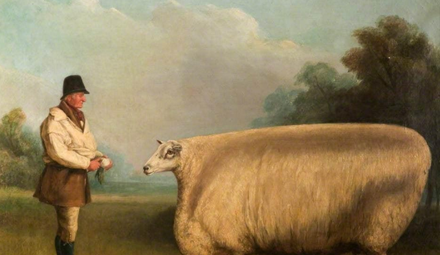 化石 你见过会躲雨的火烈鸟吗？12张科普趣图，让你“大开眼界”！