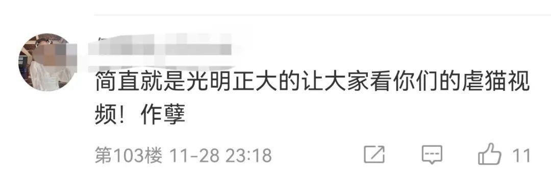 小猫是被电死的?剧组紧急回应:我们报案了