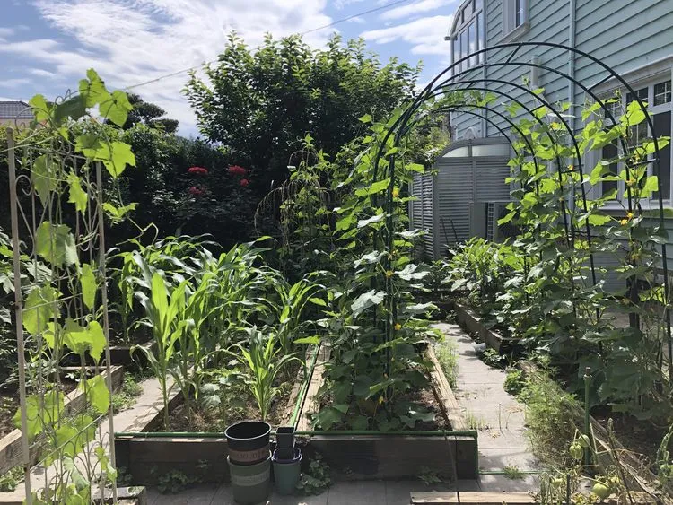 |买了别墅花园房，用5年时间，亲手设计打造400㎡别墅花园，太美了