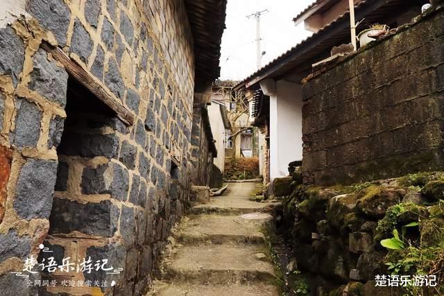 浙江省|浙江这里号称红枫之乡，古树成群漫山红，犹如被人遗忘的世外桃源