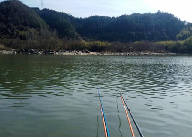 范振钰|观察水色，判断鱼情，就是从这句口诀学会的