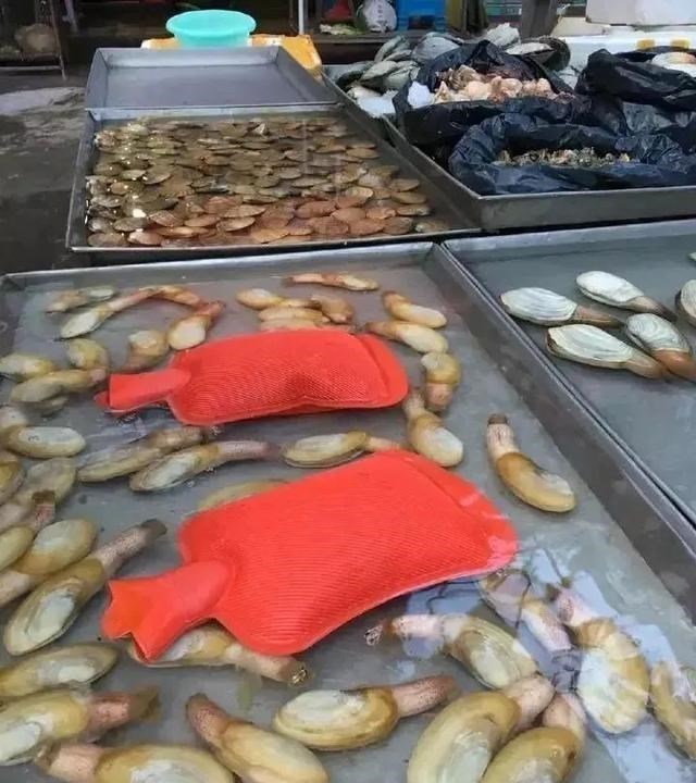 在东北为了取快递,差点开上了破冰船