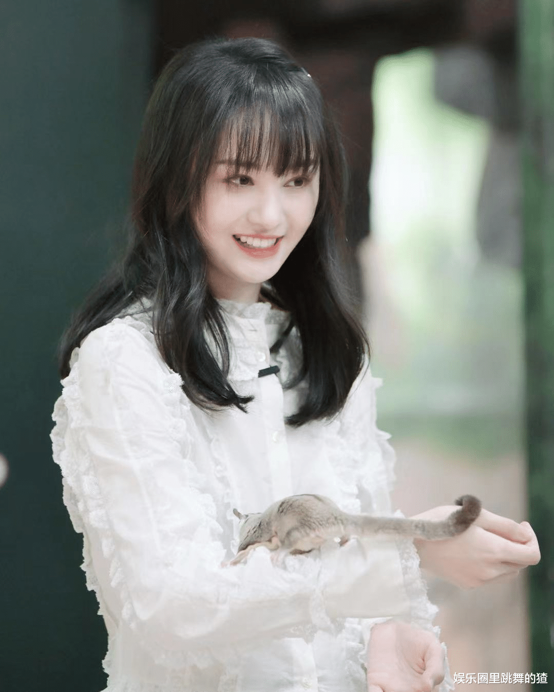 郑爽|郑爽事件新进展：郑爽提供新证词，事件疑似反转，说谎的竟是张恒