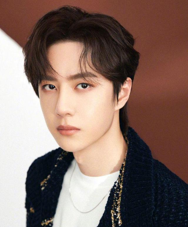 王一博|王一博央视舞台被除名，肖战新剧突遭停！粉丝崩溃：追星变犯罪？