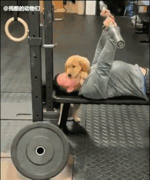 |“姑娘！咱们收敛点，这可是相亲，不要暴露你的职业呀！”哈哈哈哈哈