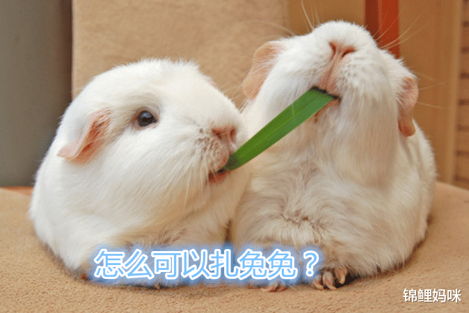 锦鲤妈咪|古代人判断女性怀孕的方式：法国医生不靠谱，古希腊女性承受太多