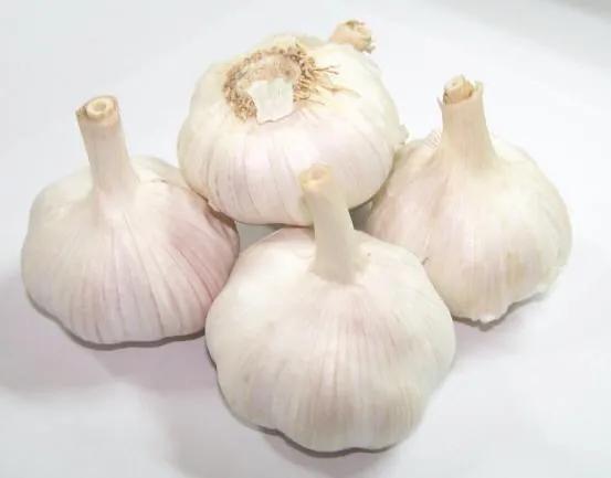 大蒜|买大蒜时，这4种大蒜最好别买，老蒜农说漏嘴，看完可别买错了