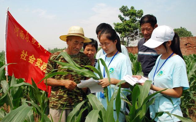 糯妈育儿经|专科生迎来好消息，这一铁饭碗向专科生倾斜，薪资待遇比公务员好