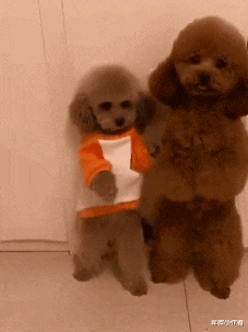 宇航员 如果人类发现了比自己落后的文明，网友：我们的宇航员失踪了，得去你们星球看看