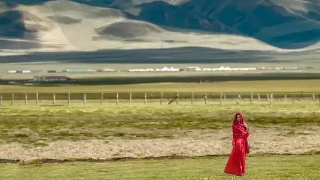 甘南 甘南 是我平生未见如此绮丽的景色