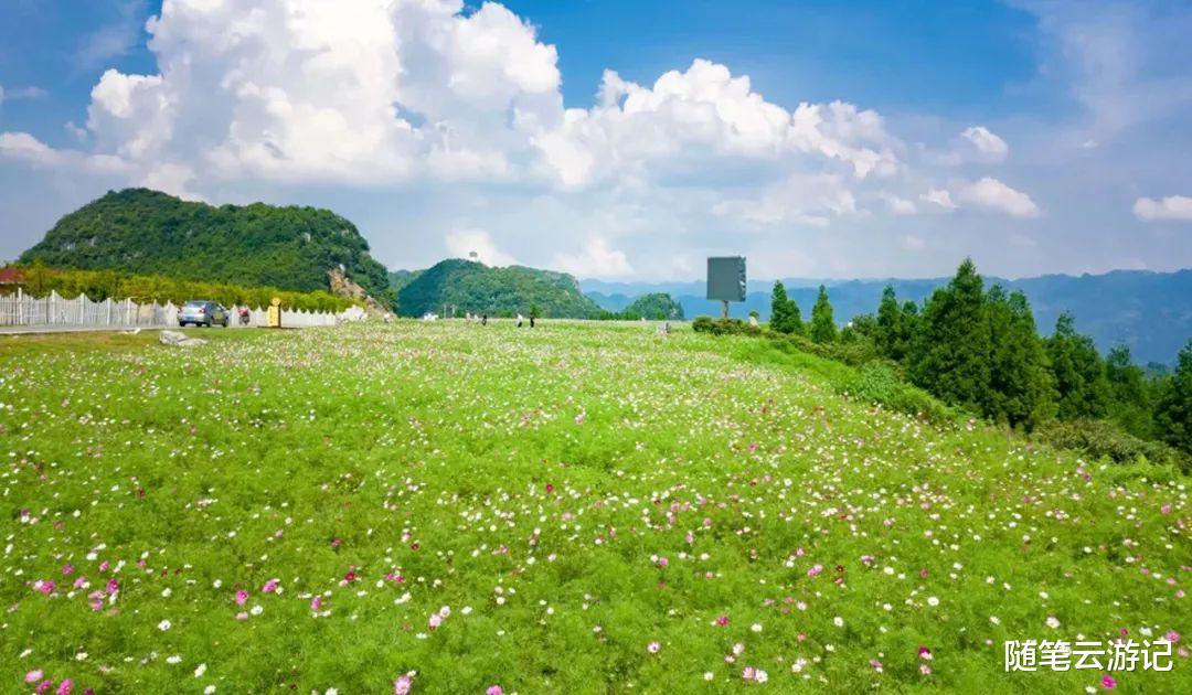 杭州 你的夏天是多少摄氏度？这里的夏天只有19℃！来，打开夏日避暑模式！