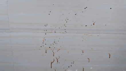 湿巾|建议各位：无论房子大小，这几个位置一定要干净！日子会越过越好