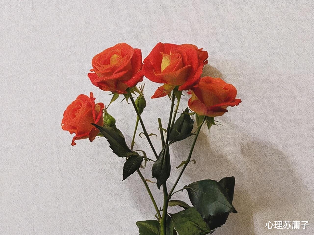 心理苏庸子|彼此深爱的两个人，如果各有家室，请仔细想想这3句话
