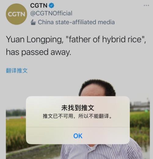 杨紫|袁隆平去世的消息都能搞错？就离谱！