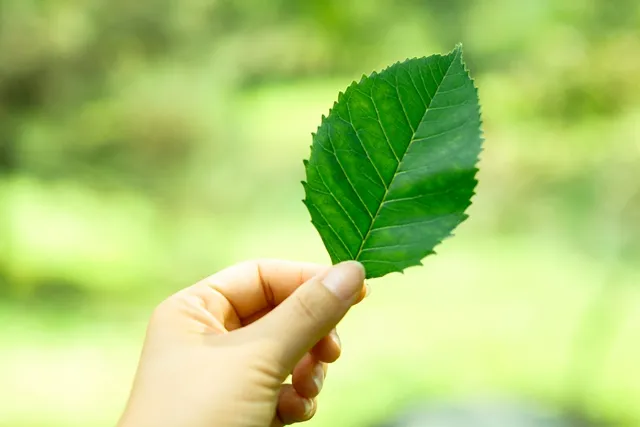 世界最爱你的不止父母,还有……