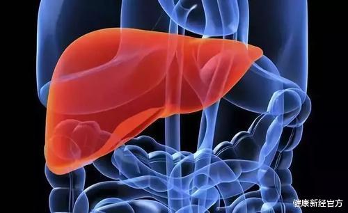 健康新经官方|若想获得更好的睡眠状况,还需要注意协调以下2项身体机能的运转