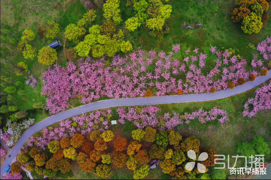资讯早播报 感受春的脚步，来苏州太湖国家湿地公园徒步花海