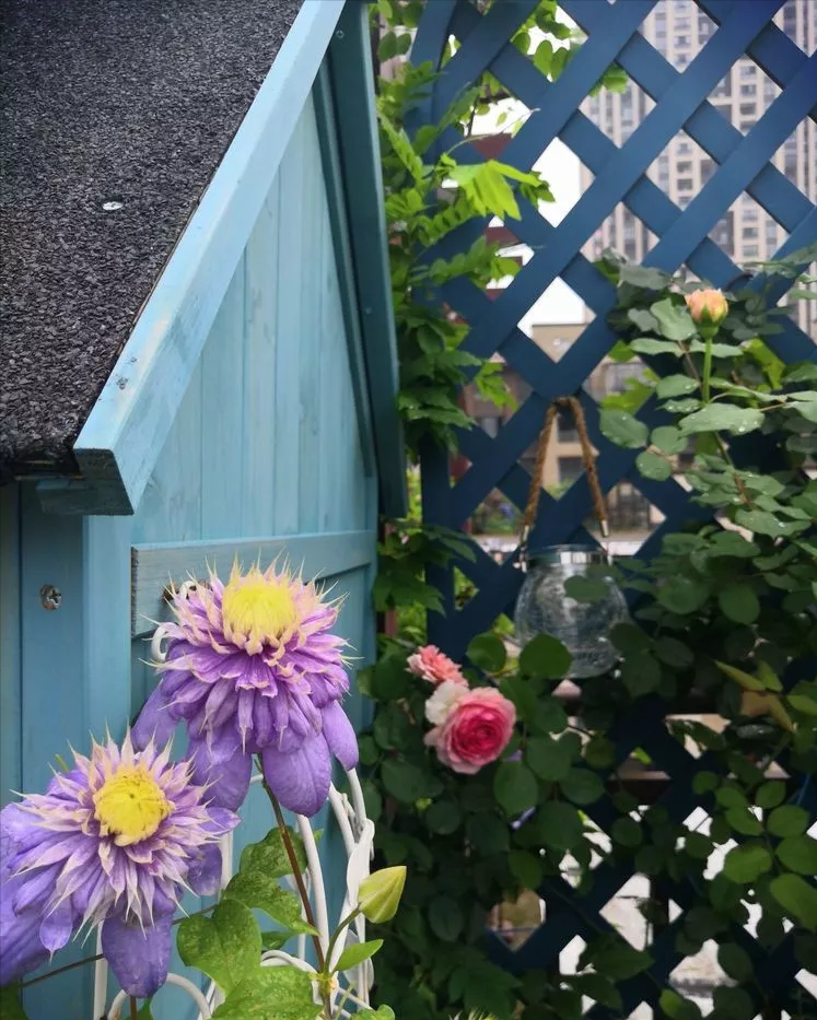 3年前，买了一栋顶楼带70㎡露台的房子，自己打造美美的休闲花园