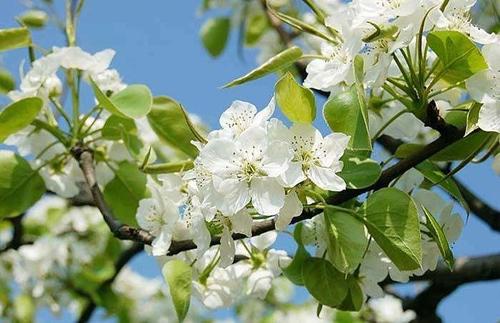 杨过|杨过苦寻小龙女16年：人生，还需要主动一点