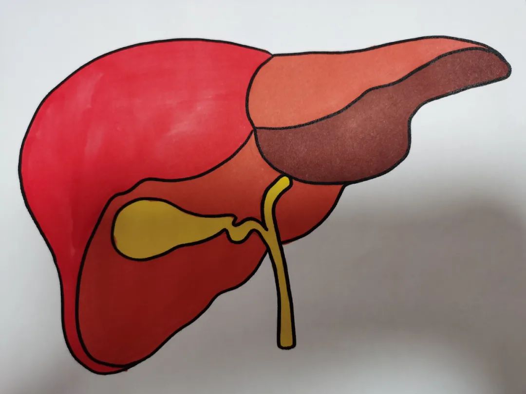 肝硬化|身体出现这4个症状，说明肝病来临，如何预防？医生：做好这3点