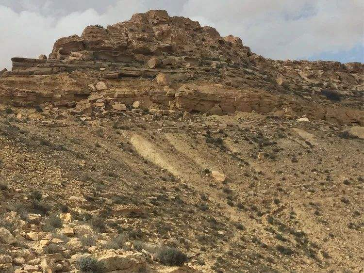 ?通过古环境的重建,确定过去的气候和植被