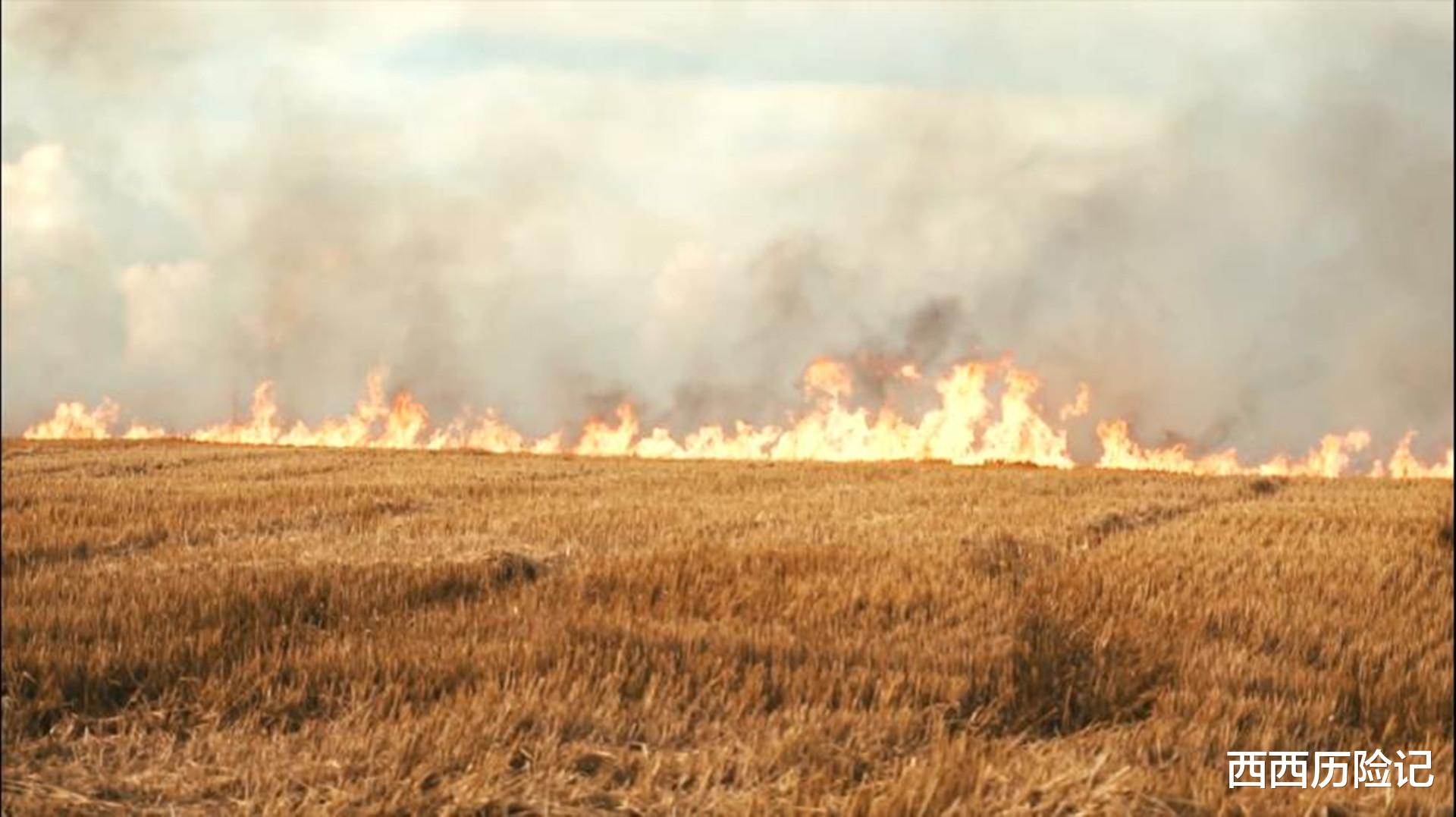 水底奥秘 假如地球上的冰川突然全部融化，我们人类还能支撑多久？