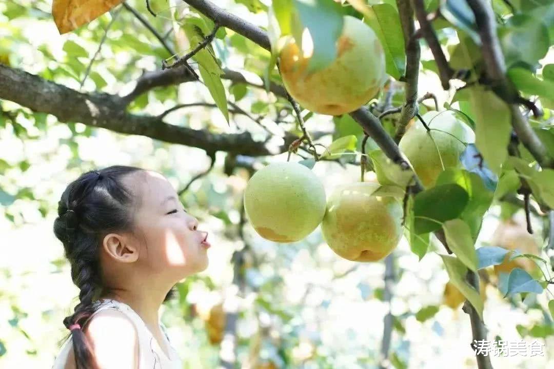 蔬菜|立秋后,这3种“时令水果”请放开了吃,好吃不贵,消暑降秋燥!