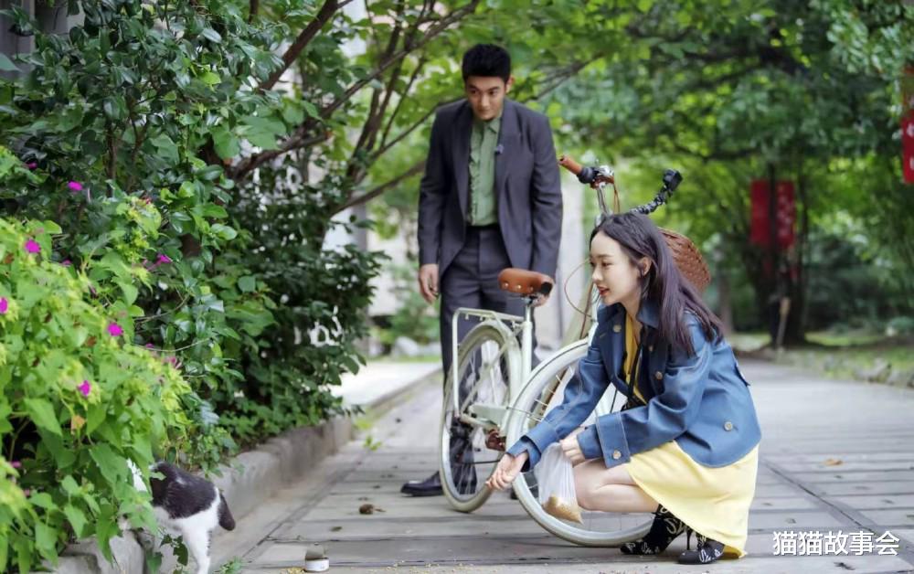 猫猫故事会|取消AA了，俺们要搬回来，不好意思，陪嫁房，不欢迎您了