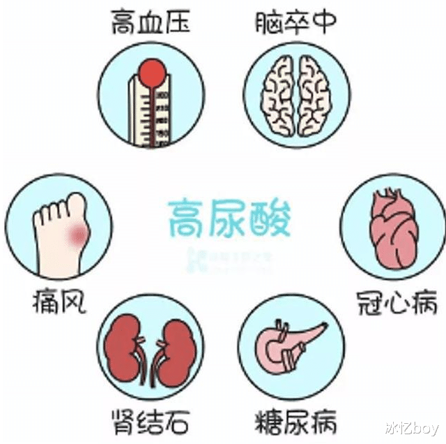 尿酸|这“1菜1须”堪称天然的降尿酸食材，尿酸高的人常吃，尿酸平稳下降