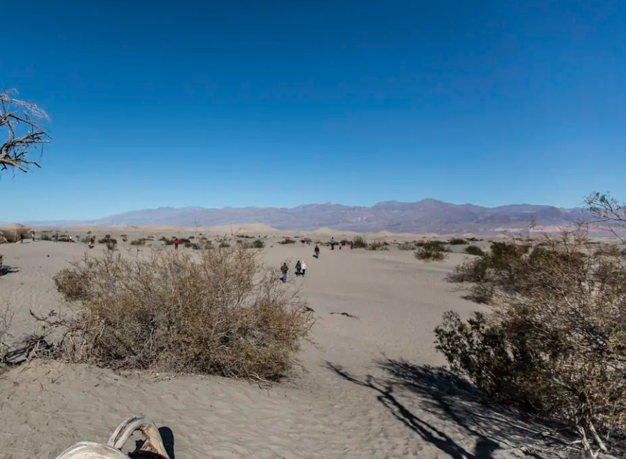 世界上最诡异的4个地方,最后一个在日本,无数自杀者选择来此!