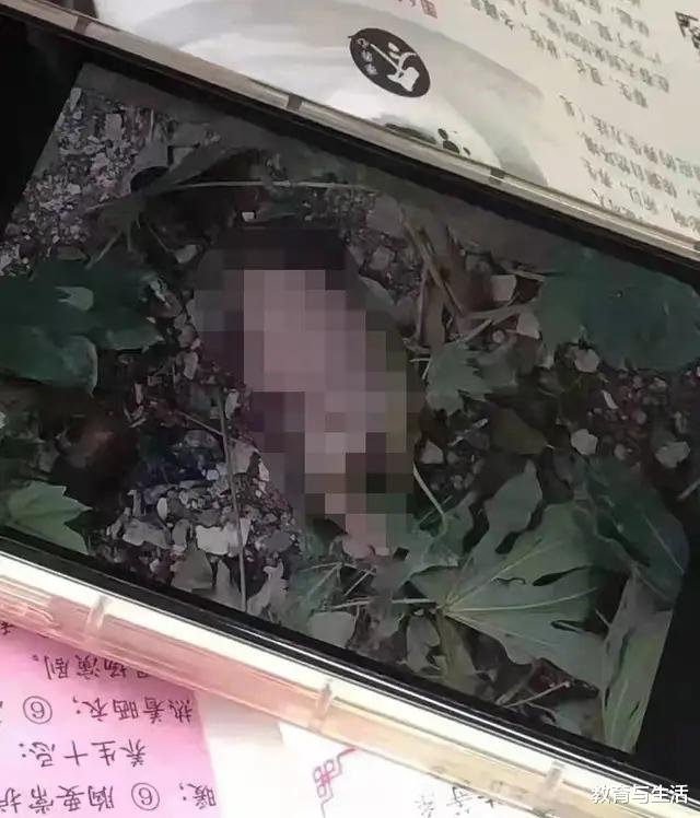 重庆|职业学院新爆料，女生宿舍楼下发现一名弃婴，嘴里还塞着布条