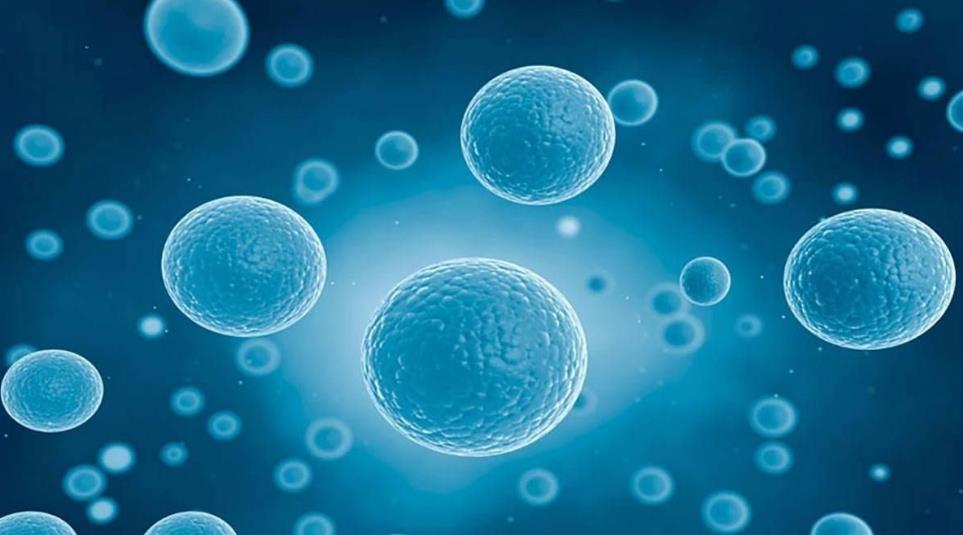 爬行动物 为什么人类永远飞不出太阳系?科学家:有4个原因,个个让人绝望